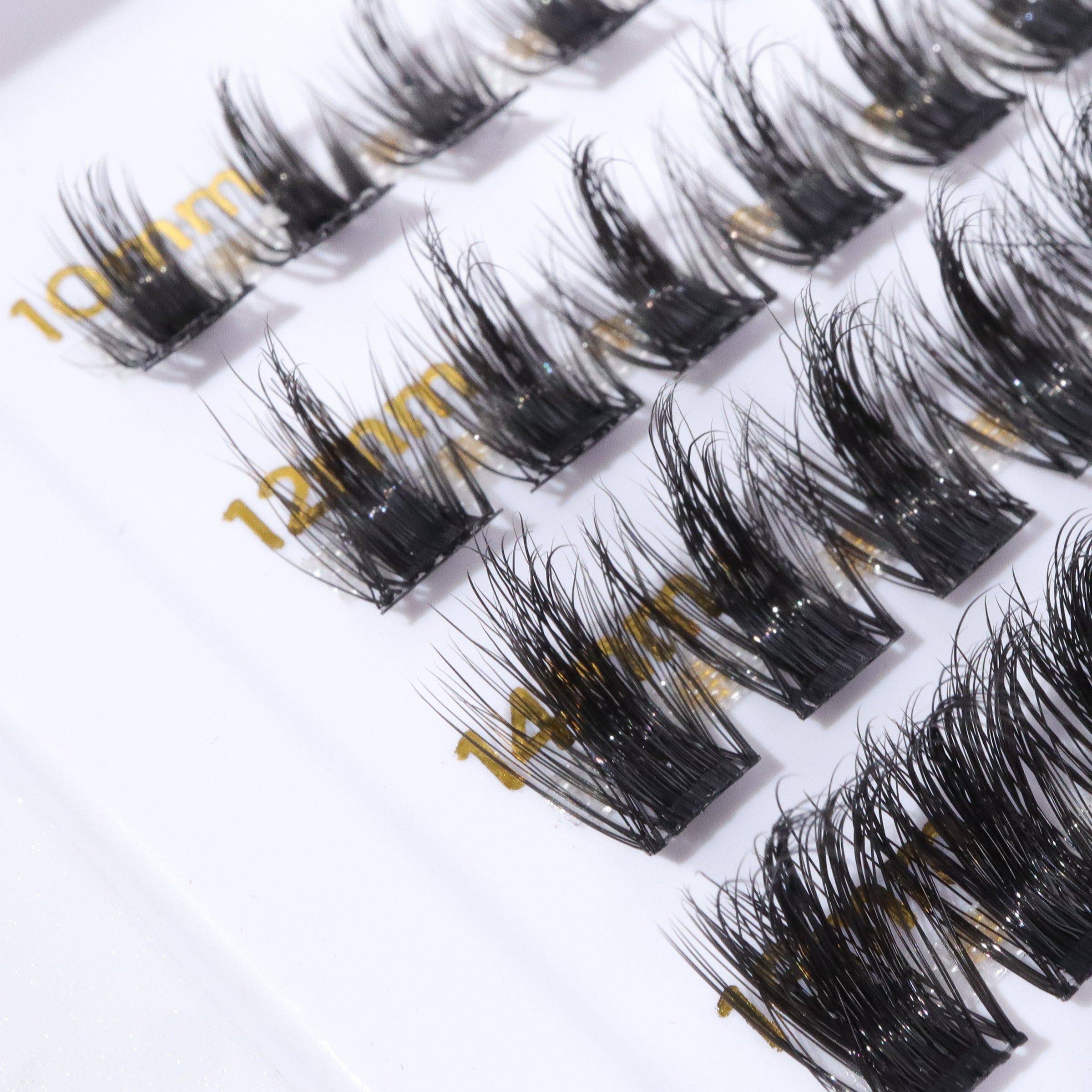 lash extensions at home holly