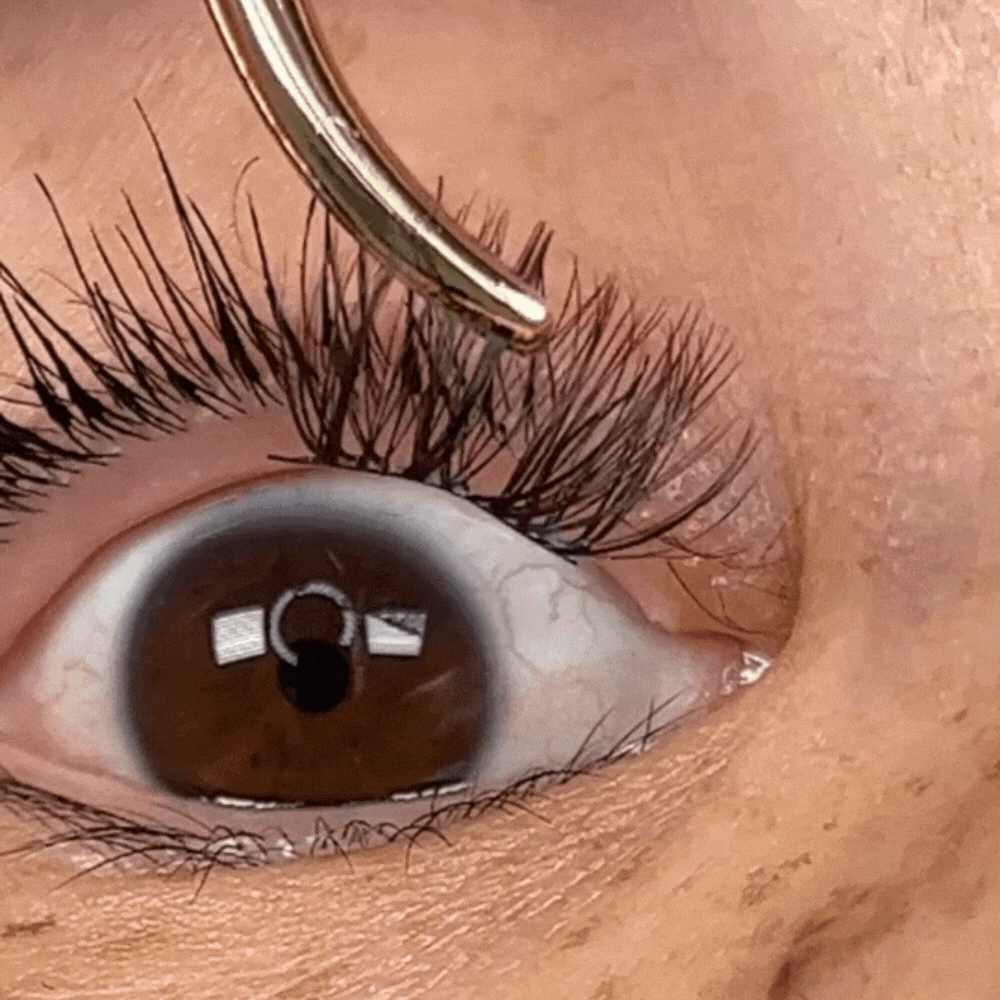 DIY Lash Extensions Application In A Few Easy Steps Using Gifs