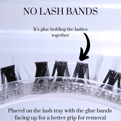 best diy lashes