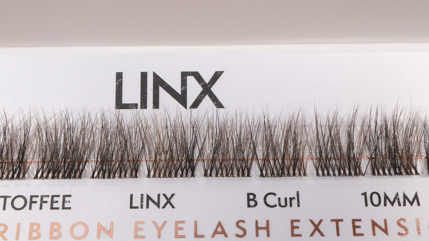 diy lashes black and brown 10mm b curl LINX