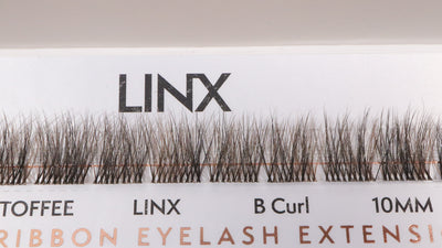 diy lashes black and brown 10mm b curl LINX