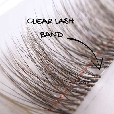 Close-up of false eyelashes with a clear band labeled, on a neutral background.